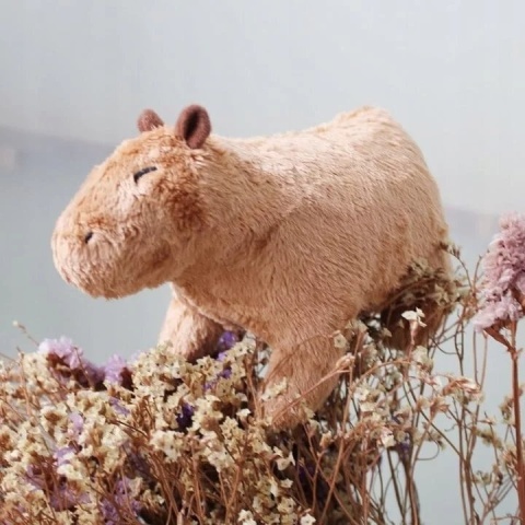 KAPIBARA MASKOTKA 20 CM PLUSZAK DLA DZIECI CAPYBARA PREZENT ZABAWKA MIŚ