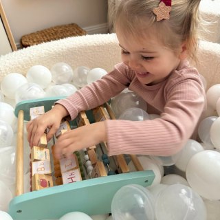 TOOKY TOY Liczydło Dwustronne do Nauli Liczenia oraz Alfabetu Obrazki