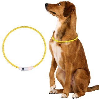 OBROŻA LEDOWA 20CM REGULOWANA WODOODPORNA USB-C DOGS COLLECTION