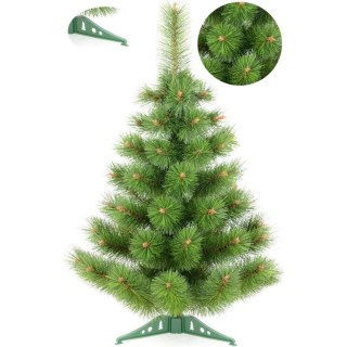 CHOINKA ŻYŁKA KLARA NIEROZCZEPIONA 50CM